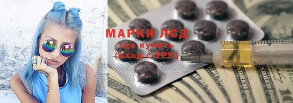 трава Магас