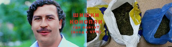трава Магас