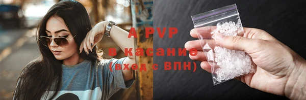 трава Магас