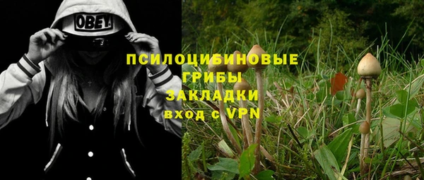 ешки Кстово